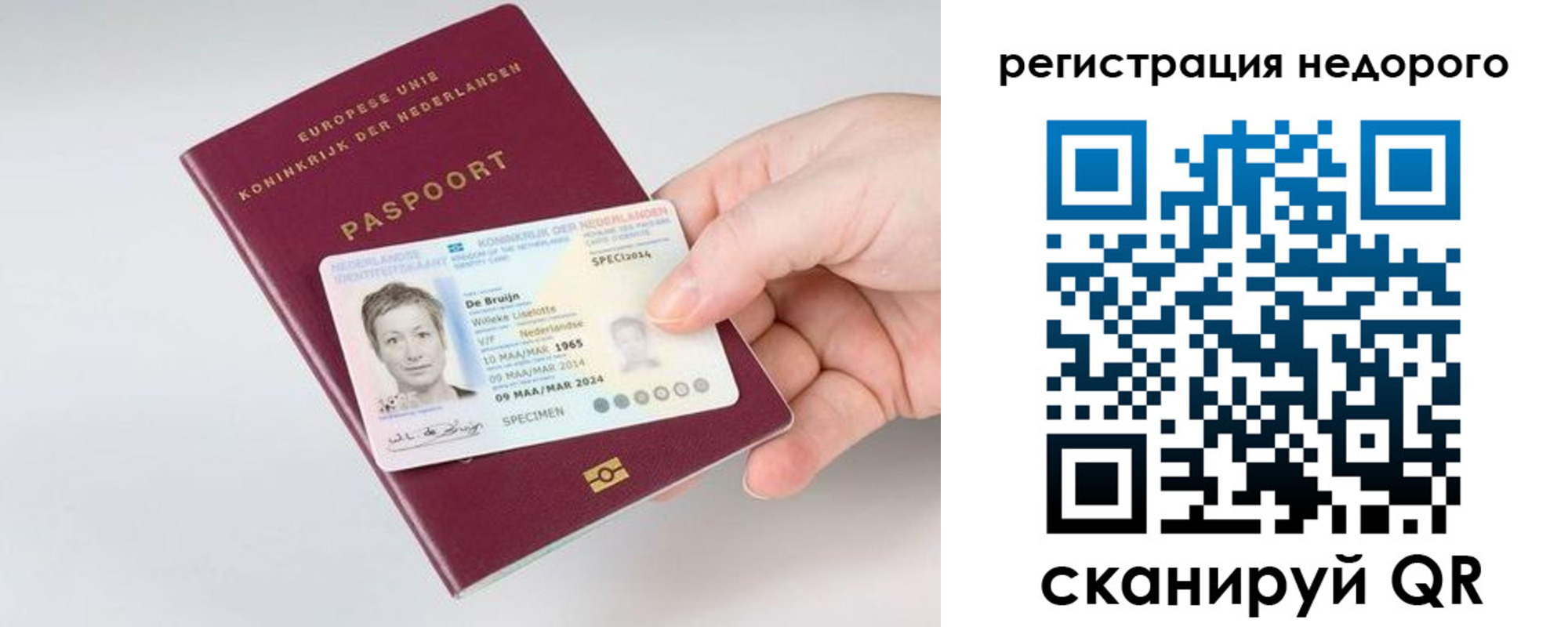 временная регистрация гарантия в Судогде